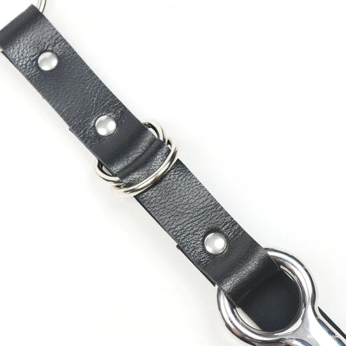 Anal Collar EverydayUse 5853 with and Hook Kinky Leash 0106